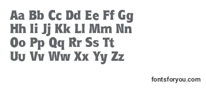 Review of the RoundestserialXboldRegular Font