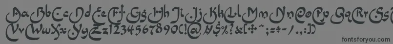 LinotypepidenashiOne Font – Black Fonts on Gray Background