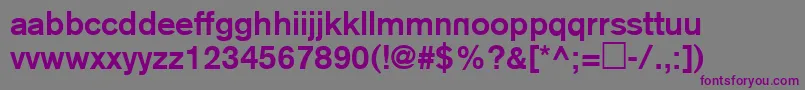 NRegular Font – Purple Fonts on Gray Background