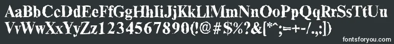 ThamesrandomBold Font – White Fonts