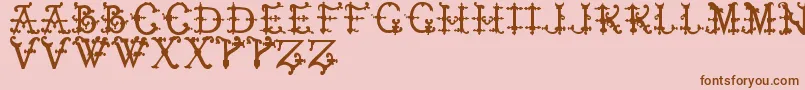 ElizabethanInitialsTfb Font – Brown Fonts on Pink Background