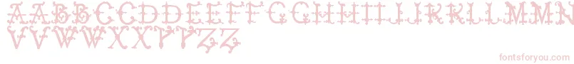 ElizabethanInitialsTfb Font – Pink Fonts on White Background