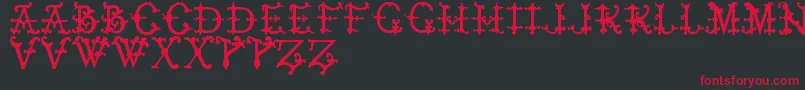 フォントElizabethanInitialsTfb – 黒い背景に赤い文字