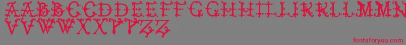 ElizabethanInitialsTfb Font – Red Fonts on Gray Background