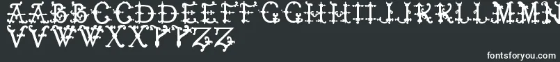フォントElizabethanInitialsTfb – 黒い背景に白い文字