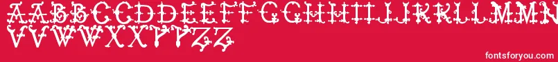 フォントElizabethanInitialsTfb – 赤い背景に白い文字