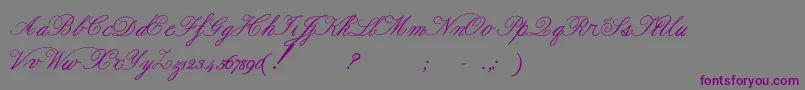Formalscript Font – Purple Fonts on Gray Background