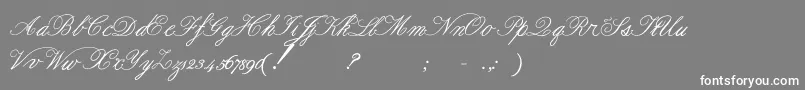 Formalscript Font – White Fonts on Gray Background