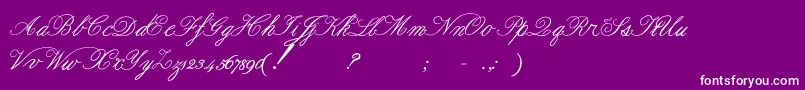 Police Formalscript – polices blanches sur fond violet