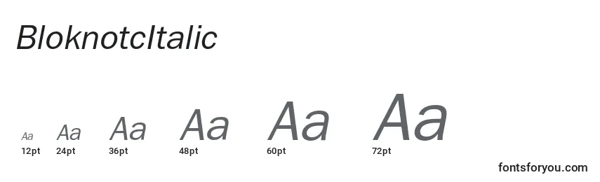 Размеры шрифта BloknotcItalic
