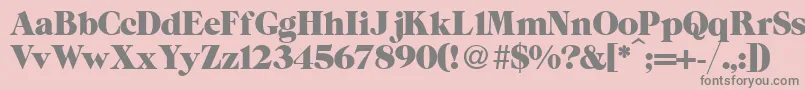 ZeppRegularDb Font – Gray Fonts on Pink Background