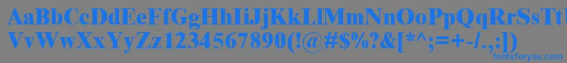 フォントTimnreb – 灰色の背景に青い文字