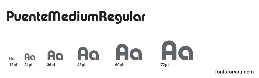 PuenteMediumRegular Font Sizes