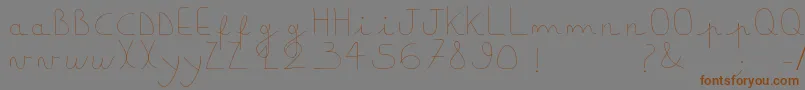 Downlightboy Font – Brown Fonts on Gray Background