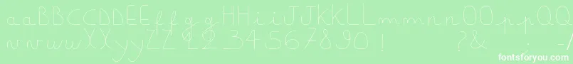 Downlightboy Font – White Fonts on Green Background