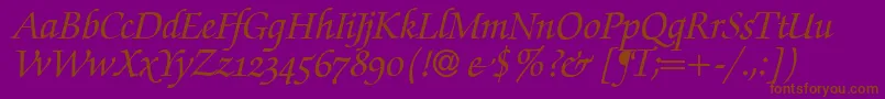 ZabriskiescriptswashBolditalic-Schriftart – Braune Schriften auf violettem Hintergrund