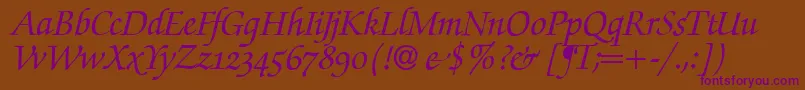 ZabriskiescriptswashBolditalic Font – Purple Fonts on Brown Background