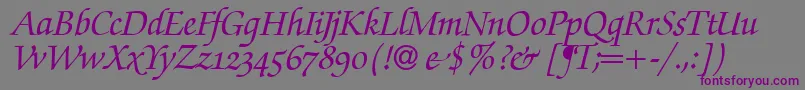 ZabriskiescriptswashBolditalic-Schriftart – Violette Schriften auf grauem Hintergrund