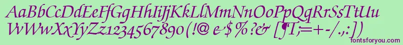 ZabriskiescriptswashBolditalic Font – Purple Fonts on Green Background