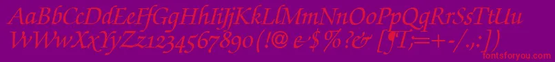 ZabriskiescriptswashBolditalic-Schriftart – Rote Schriften auf violettem Hintergrund