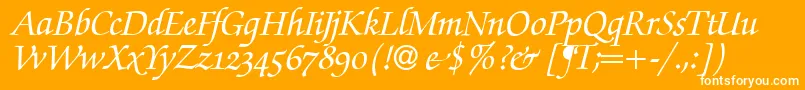 ZabriskiescriptswashBolditalic Font – White Fonts on Orange Background