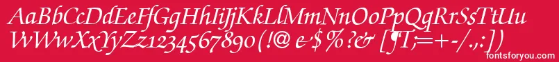 ZabriskiescriptswashBolditalic Font – White Fonts on Red Background