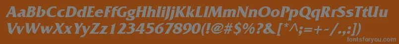 FritzBoldItalic Font – Gray Fonts on Brown Background
