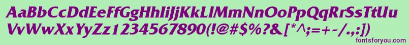 FritzBoldItalic Font – Purple Fonts on Green Background
