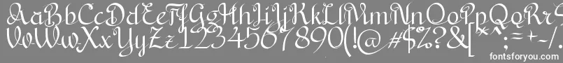 BryanaAningsihShara Font – White Fonts on Gray Background
