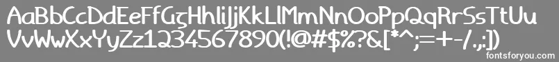 フォントToridbold – 灰色の背景に白い文字