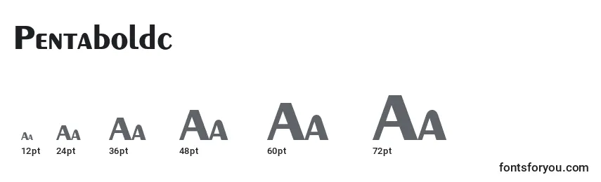 Размеры шрифта Pentaboldc