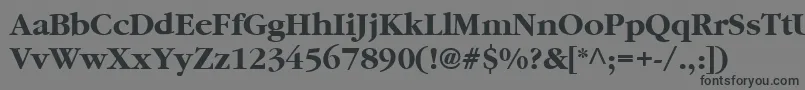 Czcionka GaramondBold – czarne czcionki na szarym tle