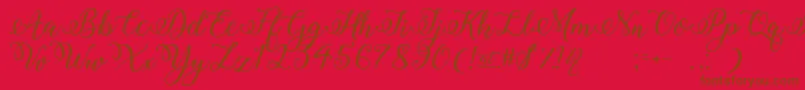 WinterCalligraphy Font – Brown Fonts on Red Background