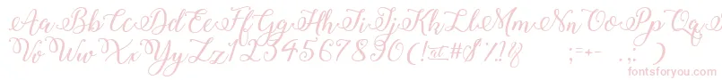 WinterCalligraphy Font – Pink Fonts on White Background