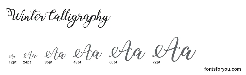 Размеры шрифта WinterCalligraphy