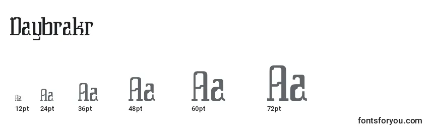 Daybrakr Font Sizes
