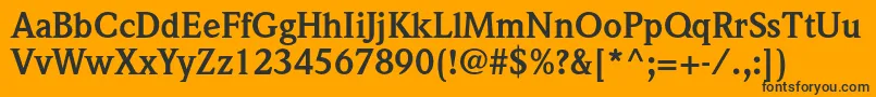 WeidemannstdBold Font – Black Fonts on Orange Background