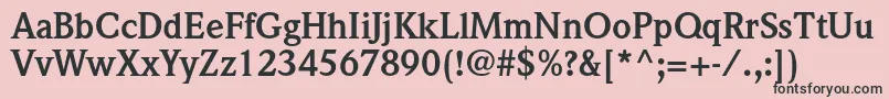 フォントWeidemannstdBold – ピンクの背景に黒い文字