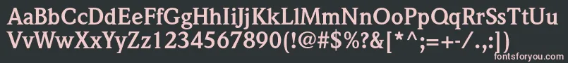 WeidemannstdBold Font – Pink Fonts on Black Background