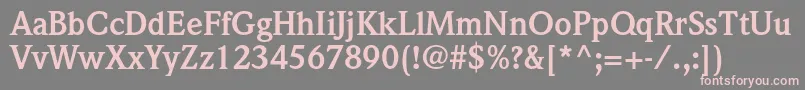 WeidemannstdBold Font – Pink Fonts on Gray Background