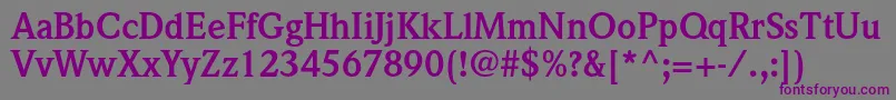 WeidemannstdBold-fontti – violetit fontit harmaalla taustalla