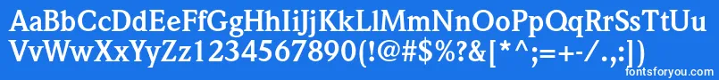 WeidemannstdBold Font – White Fonts on Blue Background