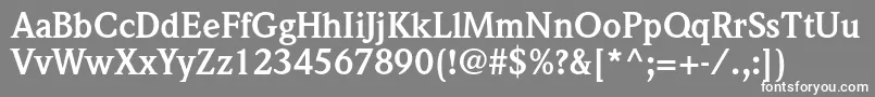 WeidemannstdBold Font – White Fonts on Gray Background