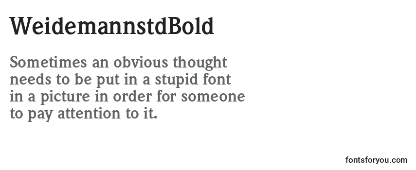 Review of the WeidemannstdBold Font