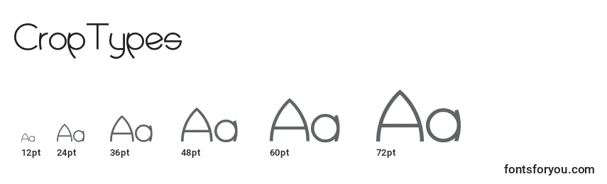 Размеры шрифта CropTypes