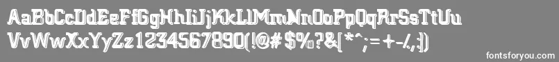 BigBlocko Font – White Fonts on Gray Background
