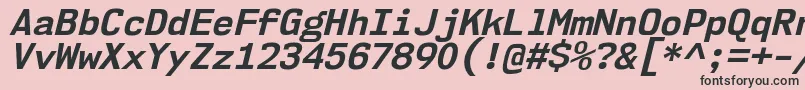 フォントNk57MonospaceNoBdIt – ピンクの背景に黒い文字