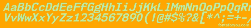 Nk57MonospaceNoBdIt Font – Green Fonts on Orange Background
