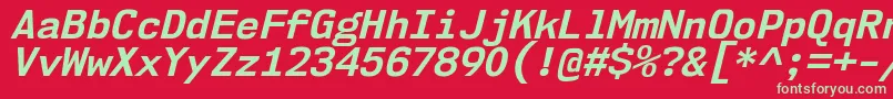 Nk57MonospaceNoBdIt Font – Green Fonts on Red Background