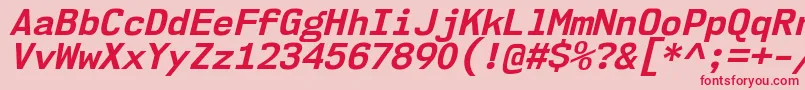 Nk57MonospaceNoBdIt Font – Red Fonts on Pink Background